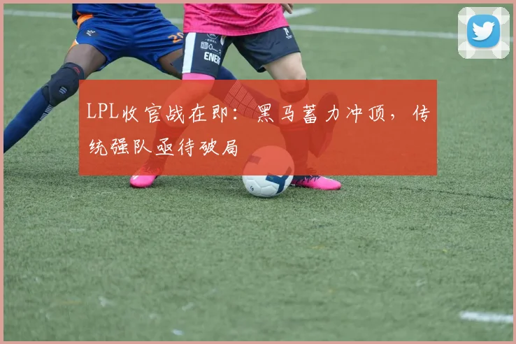 LPL收官战在即：黑马蓄力冲顶，传统强队亟待破局