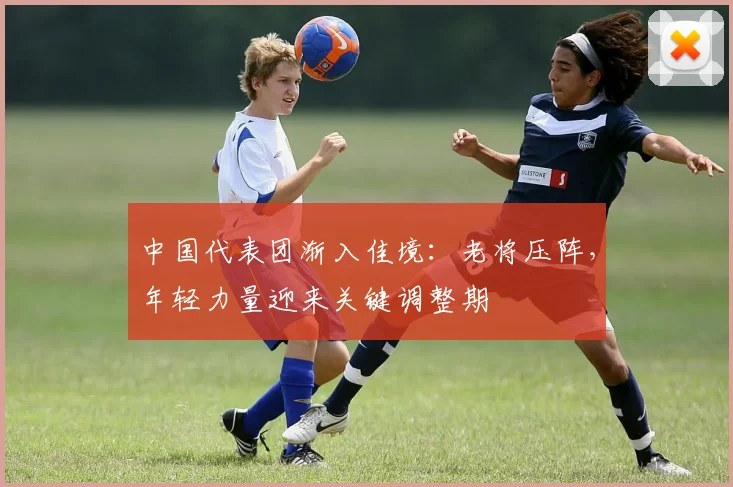 中国代表团渐入佳境：老将压阵，年轻力量迎来关键调整期